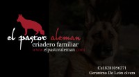 /album/fotogaleria/tarjeta-de-presentaci%c3%b2n-copia-jpg/